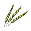 Viljatuotteita