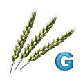 Gluteenia