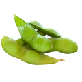 Soijaa